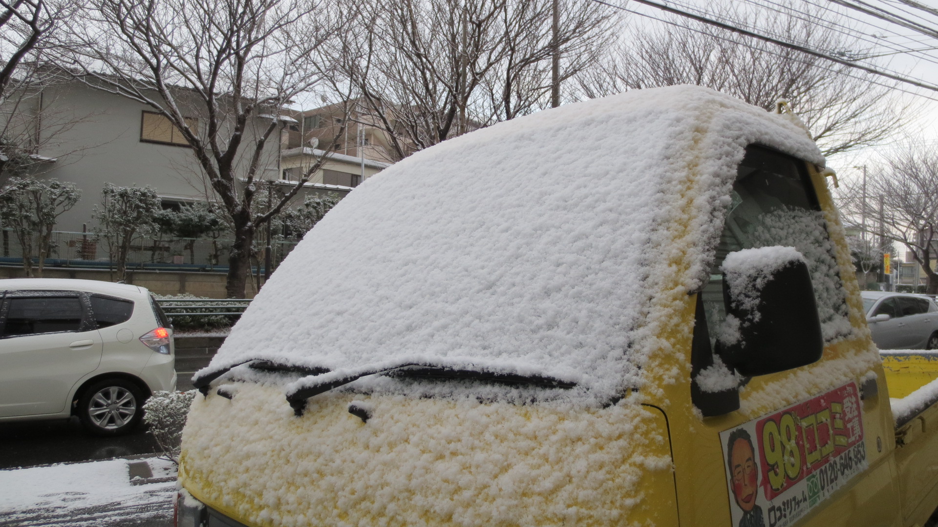 本日も千葉で雪 屋根から雪が落ちるのはもうイヤ